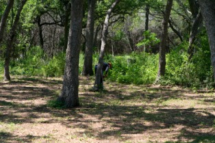 2012-04-08-31-Egg Hunt.jpg